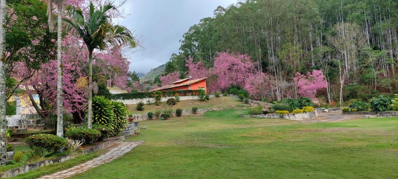 Cabanas Eco Das Montanhas โดมิงกอส มาร์ตินส์ ภายนอก รูปภาพ